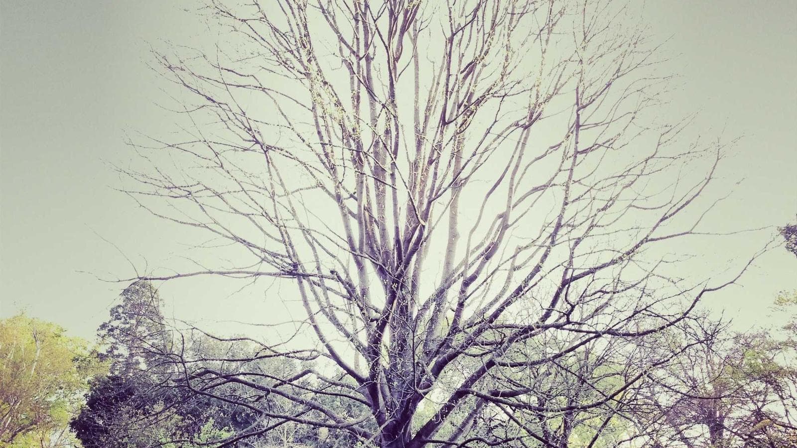 3 Practical Ways to Accelerate Your Path to $20K