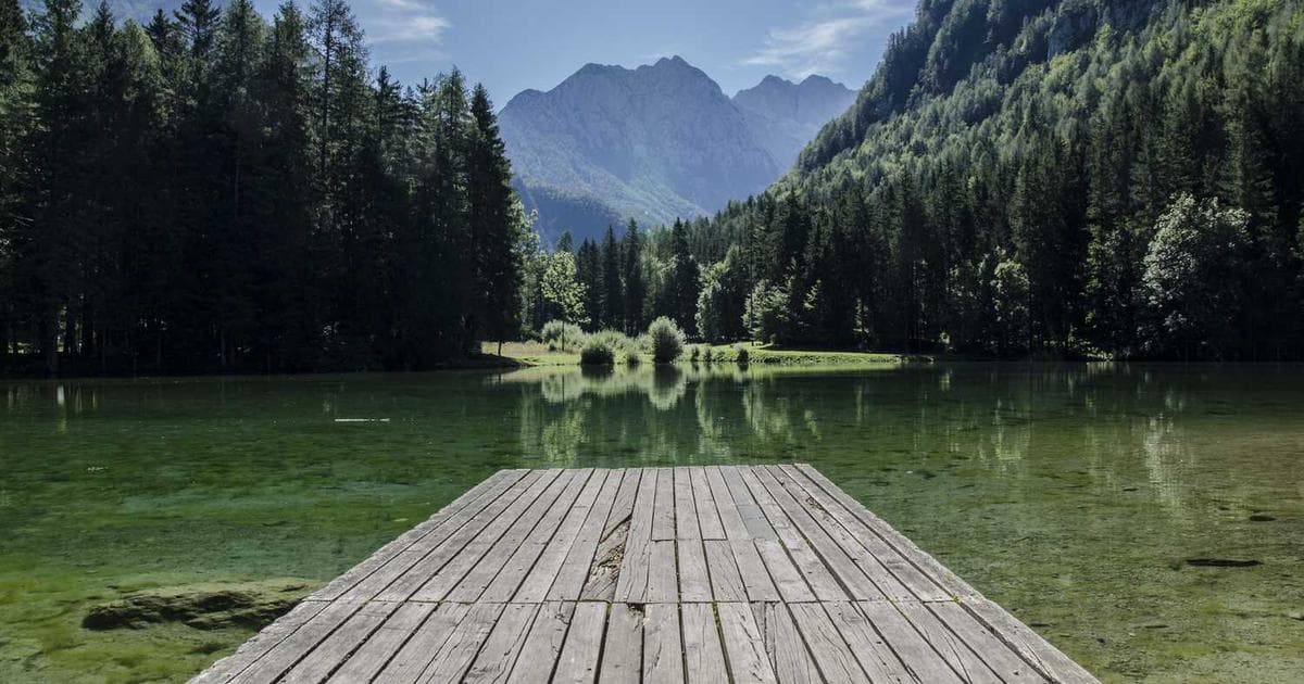 AI 칩 전쟁: AMD는 왜 매도하고 Nvidia는 보유해야 하는가