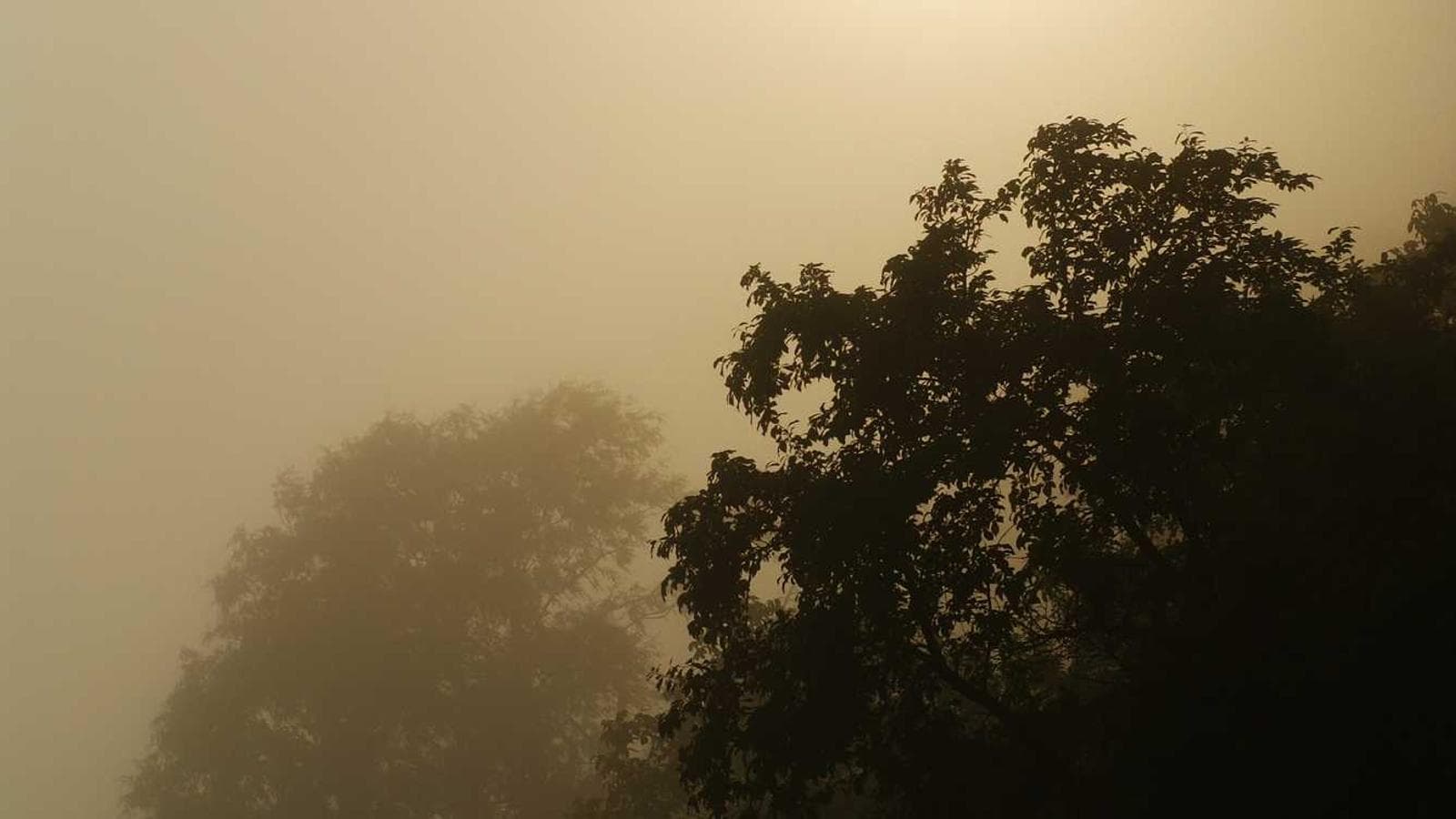 意志力なしでお金を貯める秘訣：自動化と少額投資の力