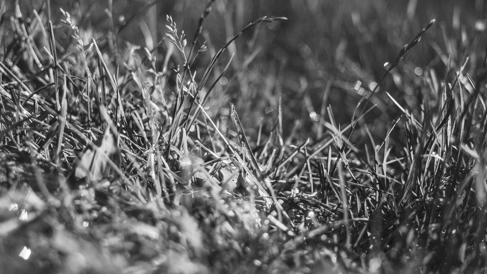 구글 vs 메타 vs 아마존: 5라운드 스코어카드로 가린 최종 승자