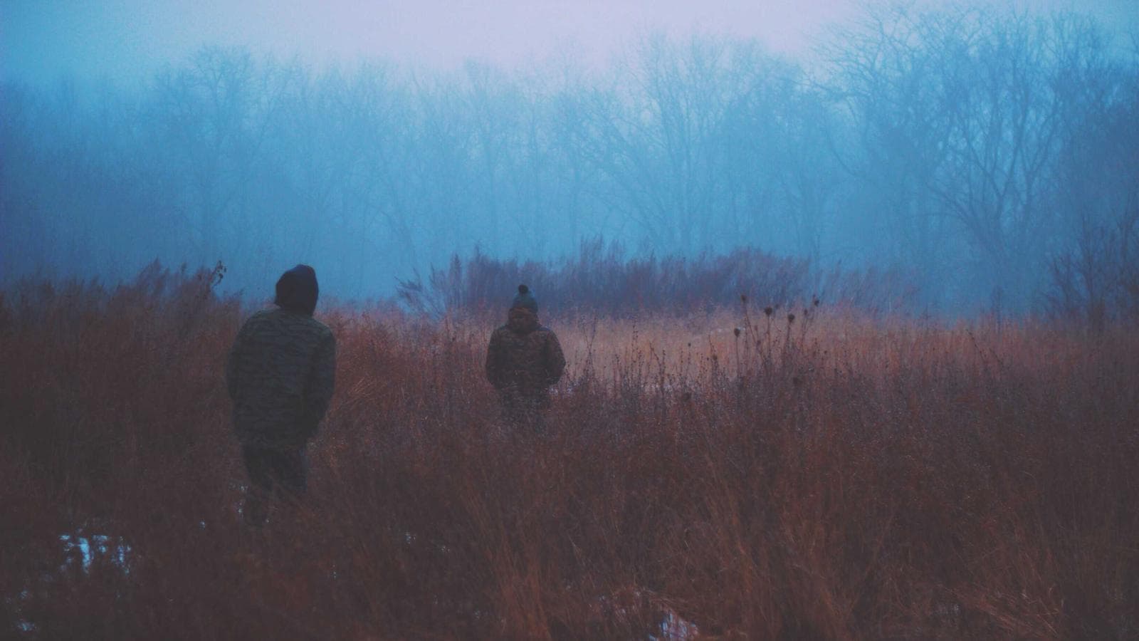 Compass vs atai vs GH Research — A Head-to-Head on the Three Psychedelic Names