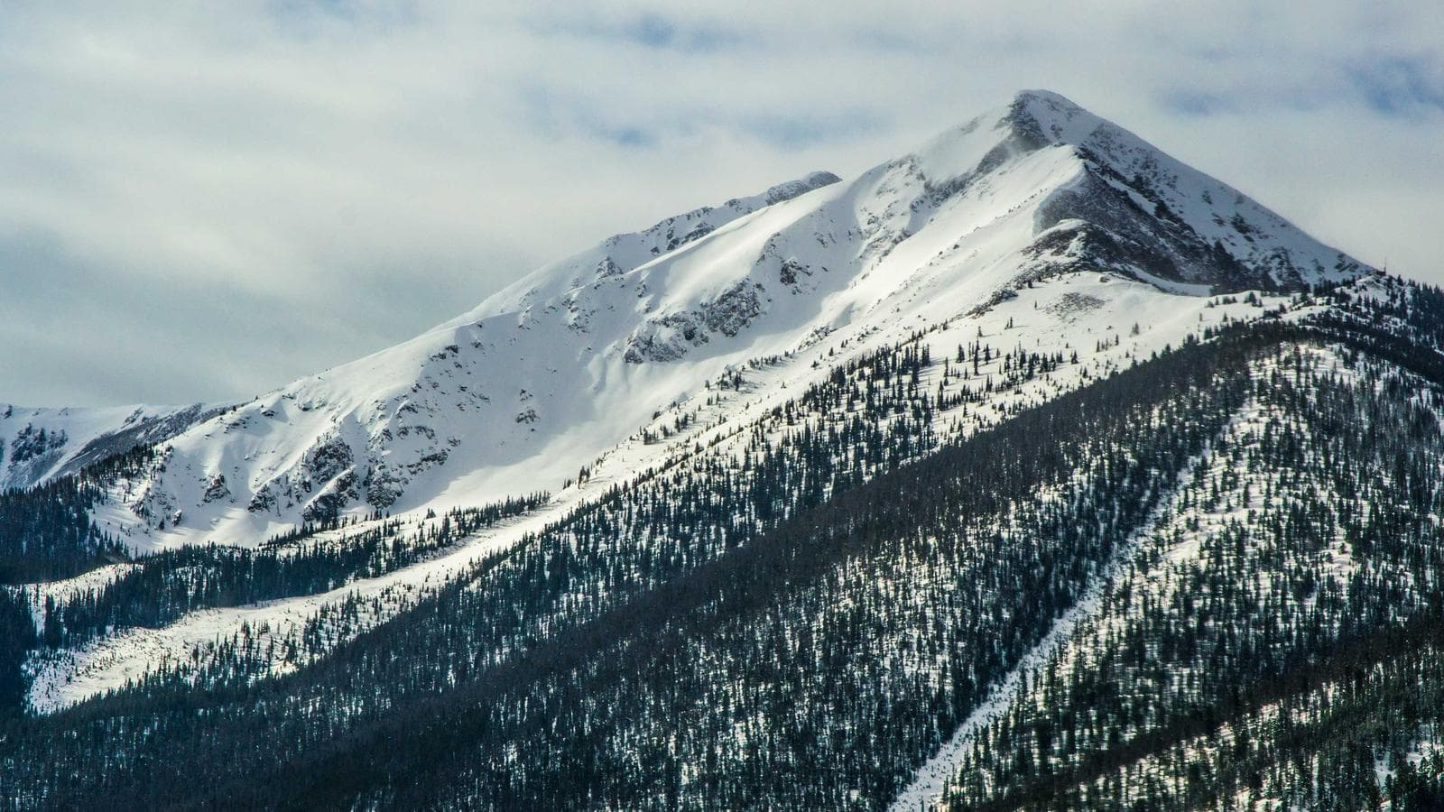 Why Bitcoin Is Rising While Stocks Fall