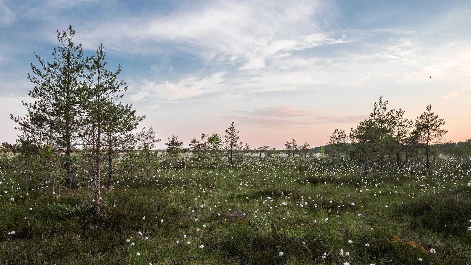 ビットコインは景気後退を乗り越えられるか？弱い雇用統計が明かす最大のリスク