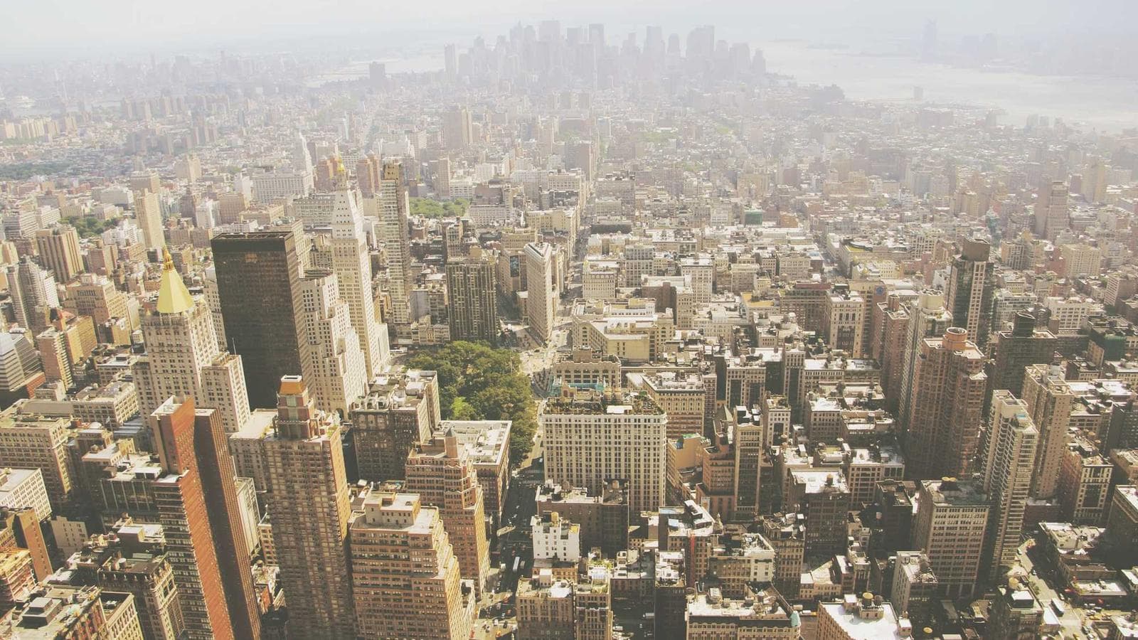 Impulse Buying and Food Waste: Small Things Add Up to Big Money