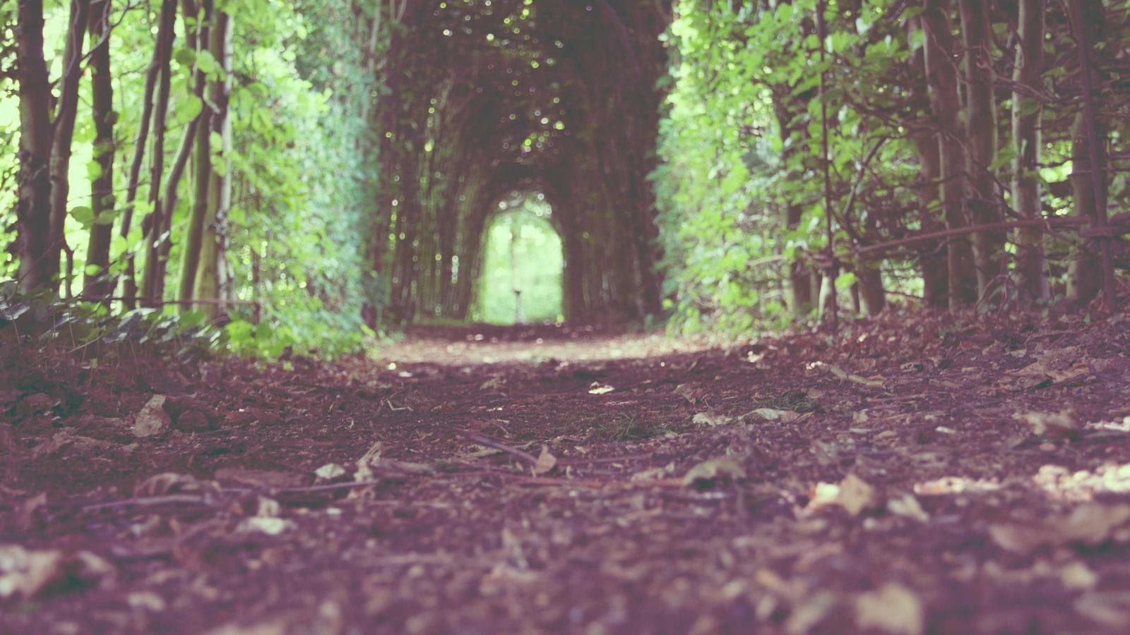 Why I'm Long Copper After the Breakout