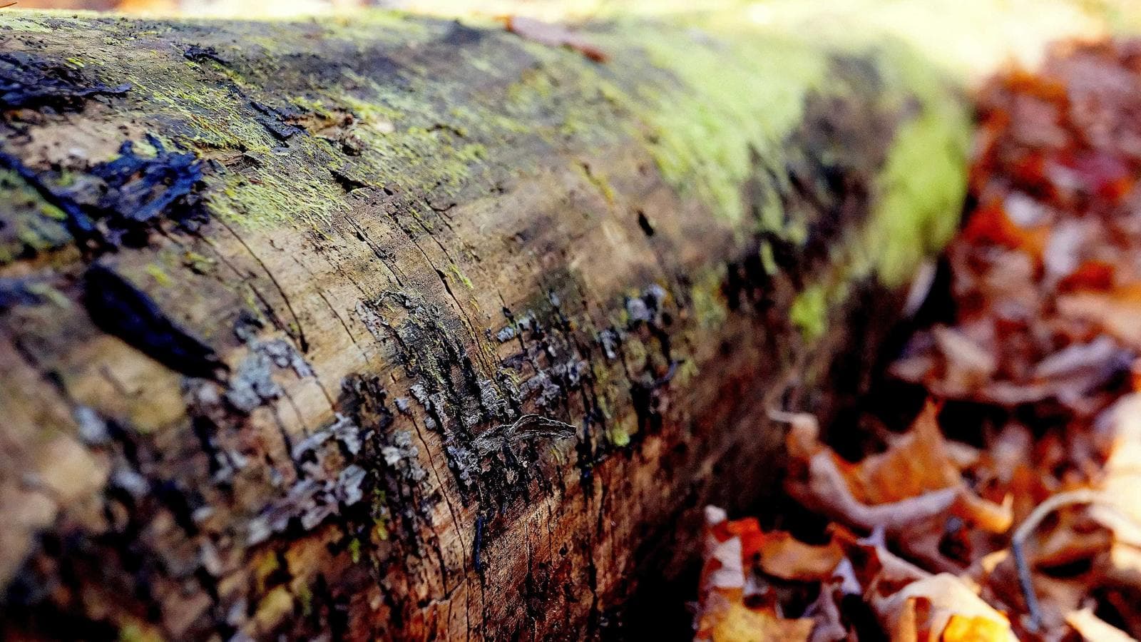 原油112ドル突破 — トランプのイラン強硬発言が市場に投げかけたメッセージ