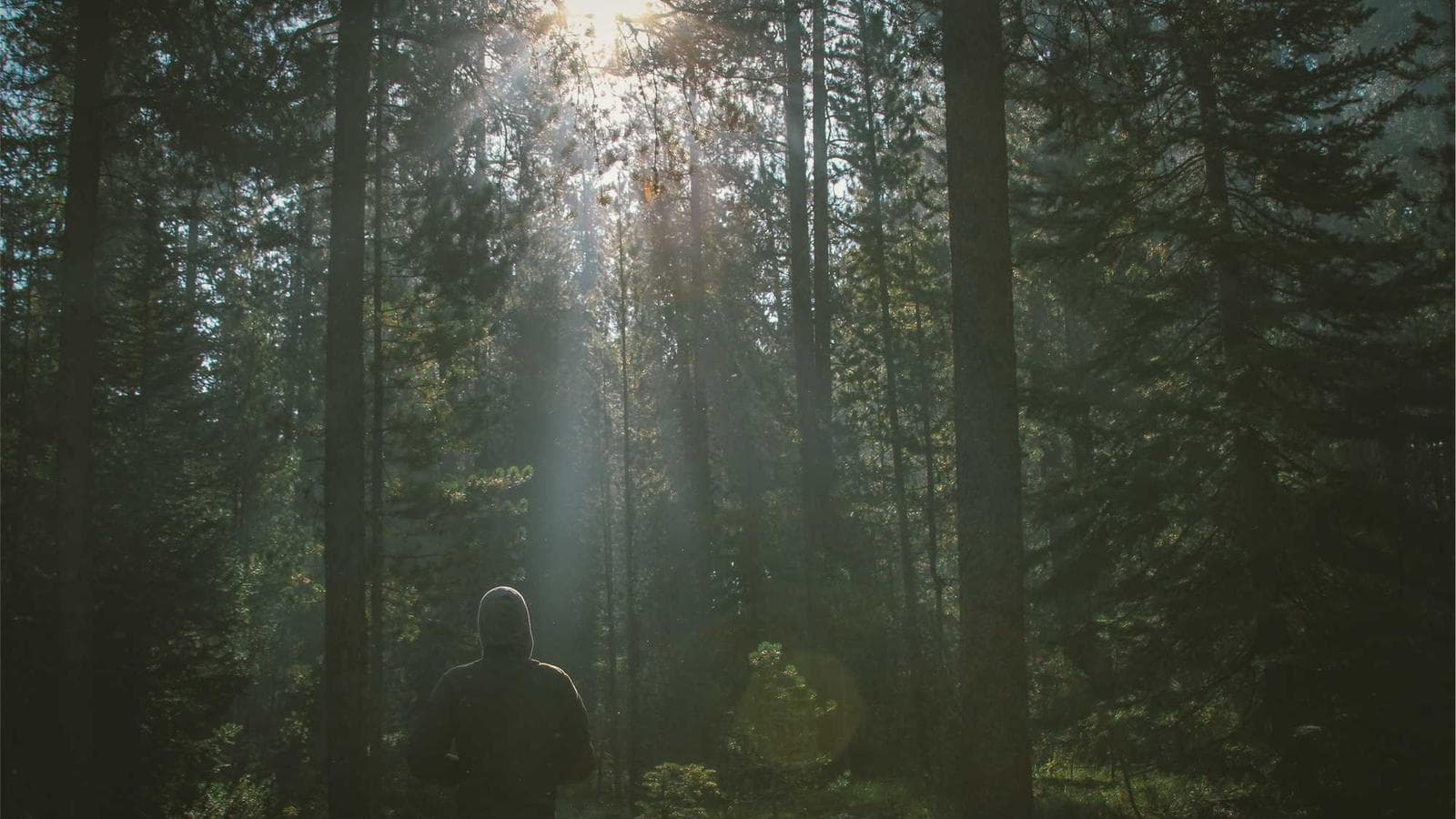 A New Era for Crypto Regulation: How the Clarity Act and Stablecoins Will Shape Finance