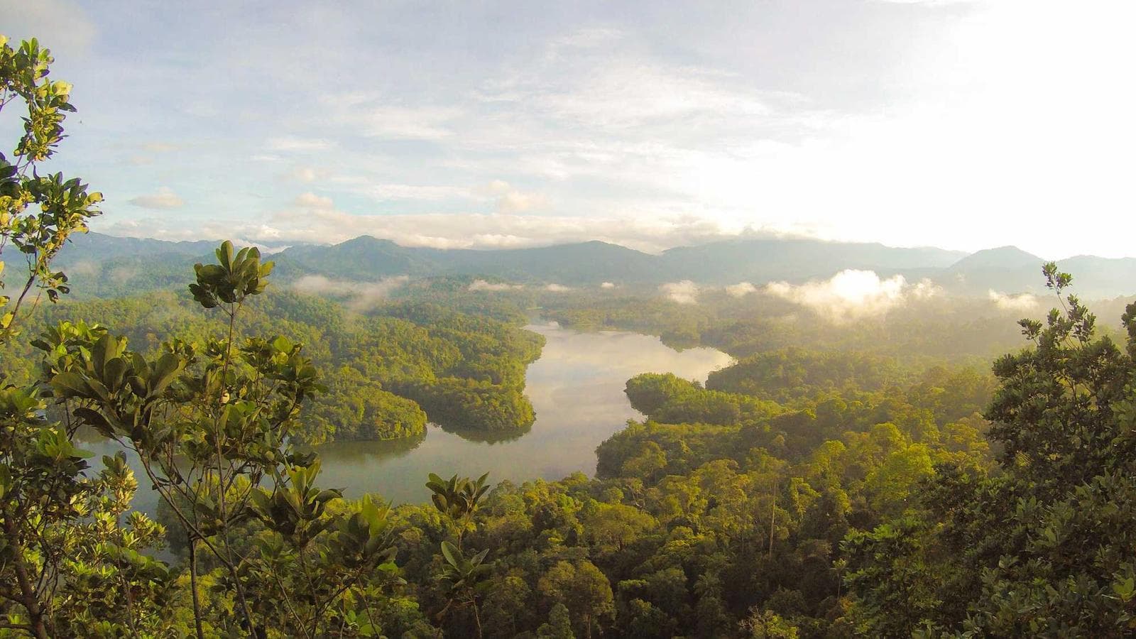 이더리움 $12,000 전망? Tom Lee의 대담한 예측과 암호화폐 투자 접근법