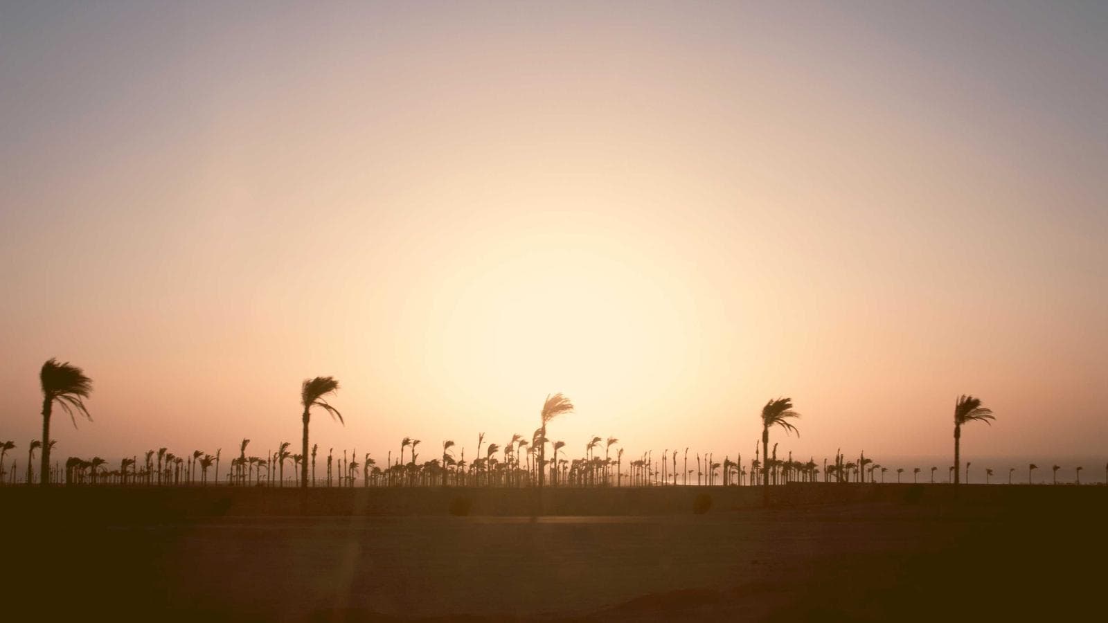 달러 인덱스 100 돌파 — GBP/USD 숏 전략이 계속 먹히는 이유