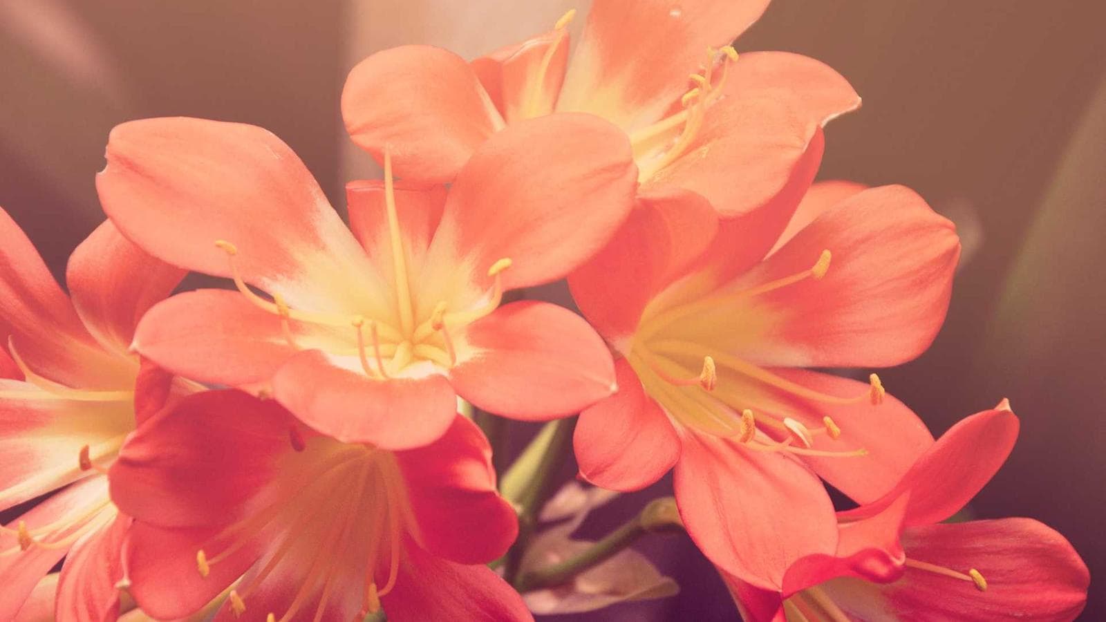 PayPal: 하이프 대신 펀더멘털로 투자하는 법