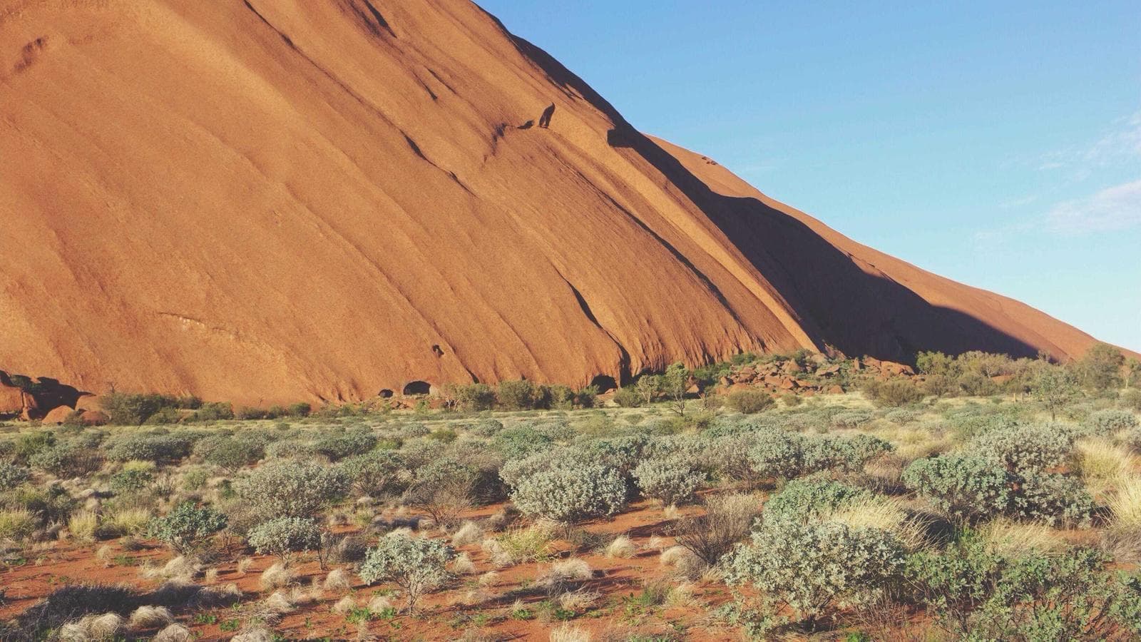 The Hidden Cost of Palantir's Stock Compensation: 5 Things Long-Term Holders Miss