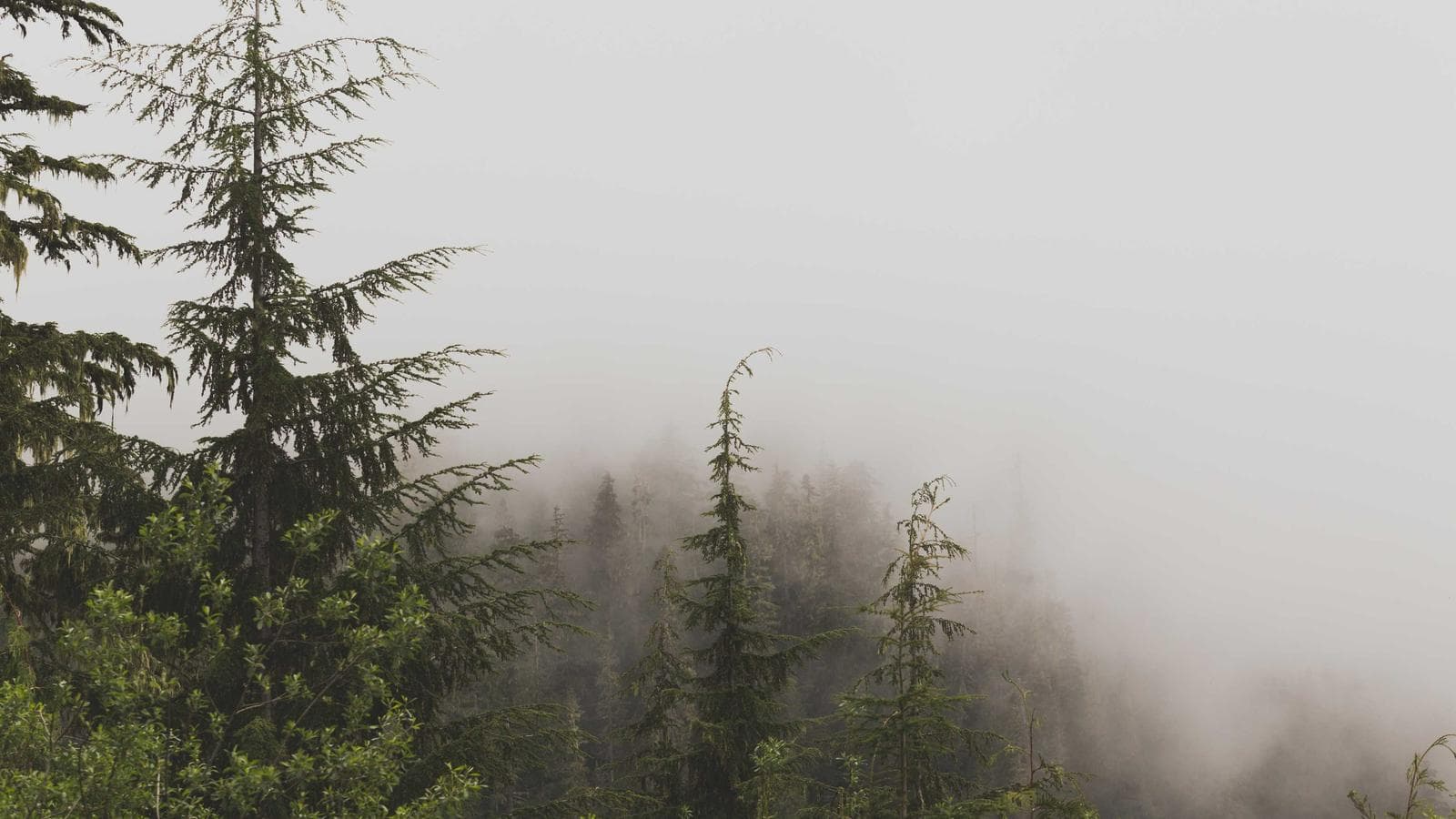 恐怖相場の本当のリスクは株価下落ではない — 感情が投資を壊す構造