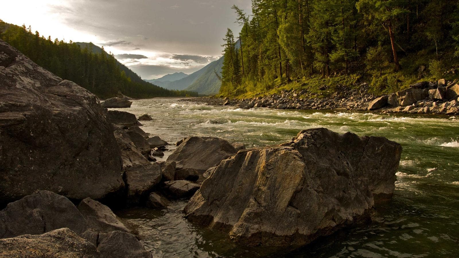 주식만으로 충분한가? 포트폴리오 분산 투자의 진짜 답