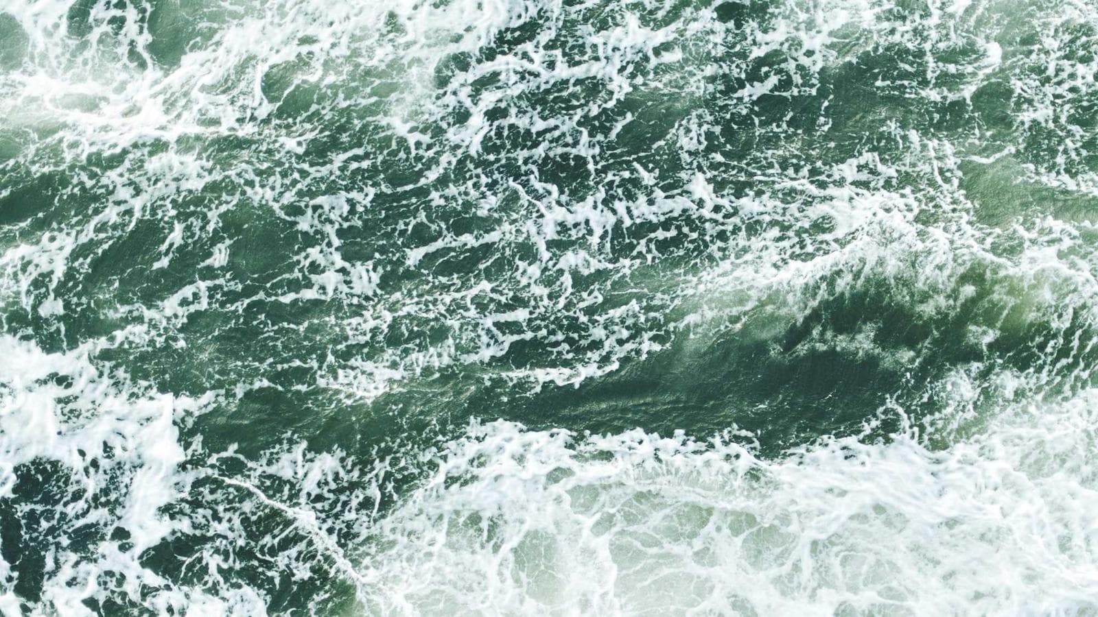 米国配当株投資の再評価 - SCHDの不振は米国配当株全体の不振ではありません