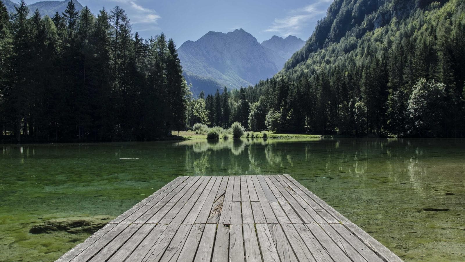 Dollar, Gold, Yen, Aussie — The Macro Rotation That De-escalation Unlocked