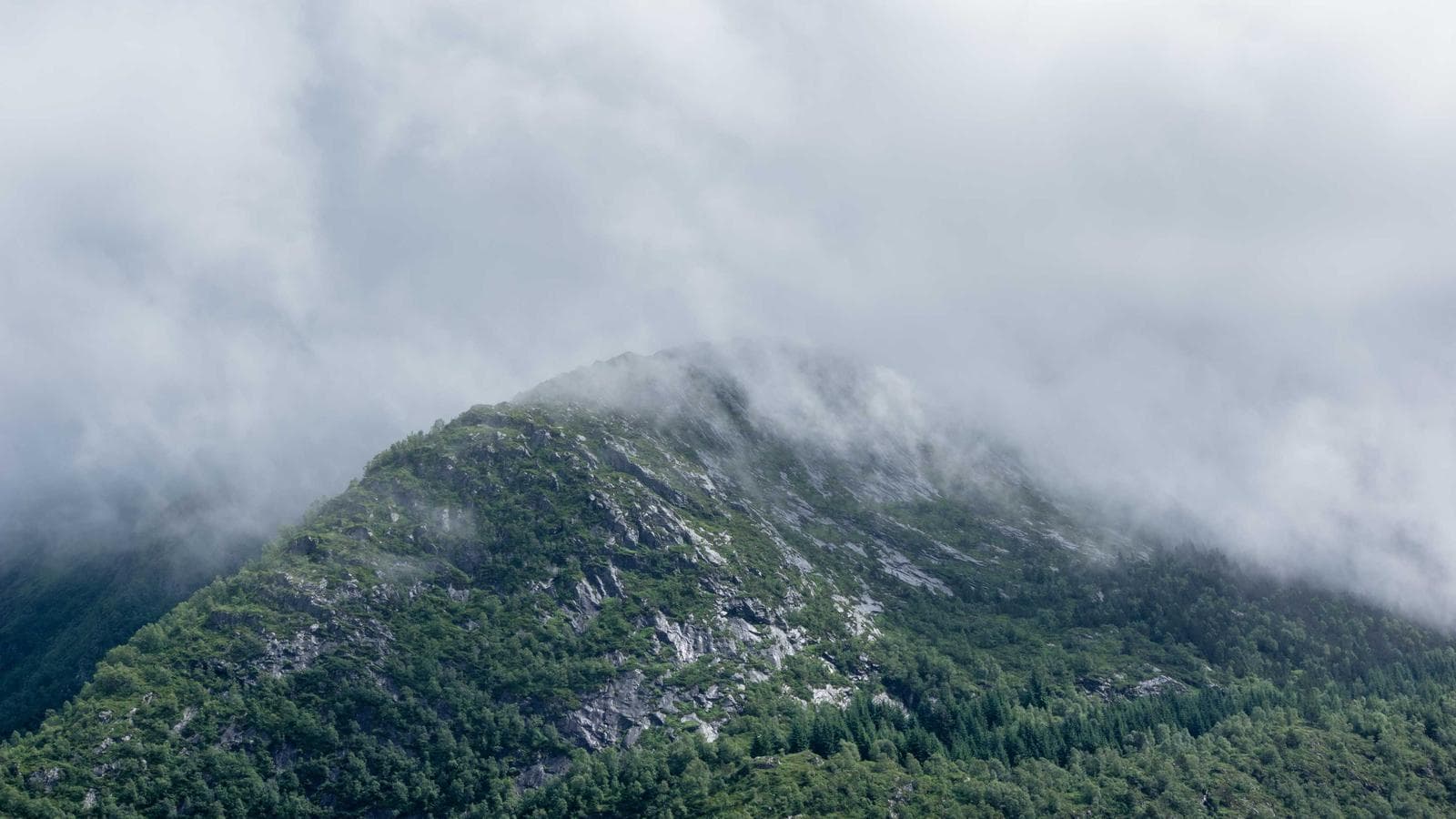 미국 고용시장 충격: NFP 15만 건 하회, 실업률 4.4% — 주식시장은 왜 2조 달러가 증발했나