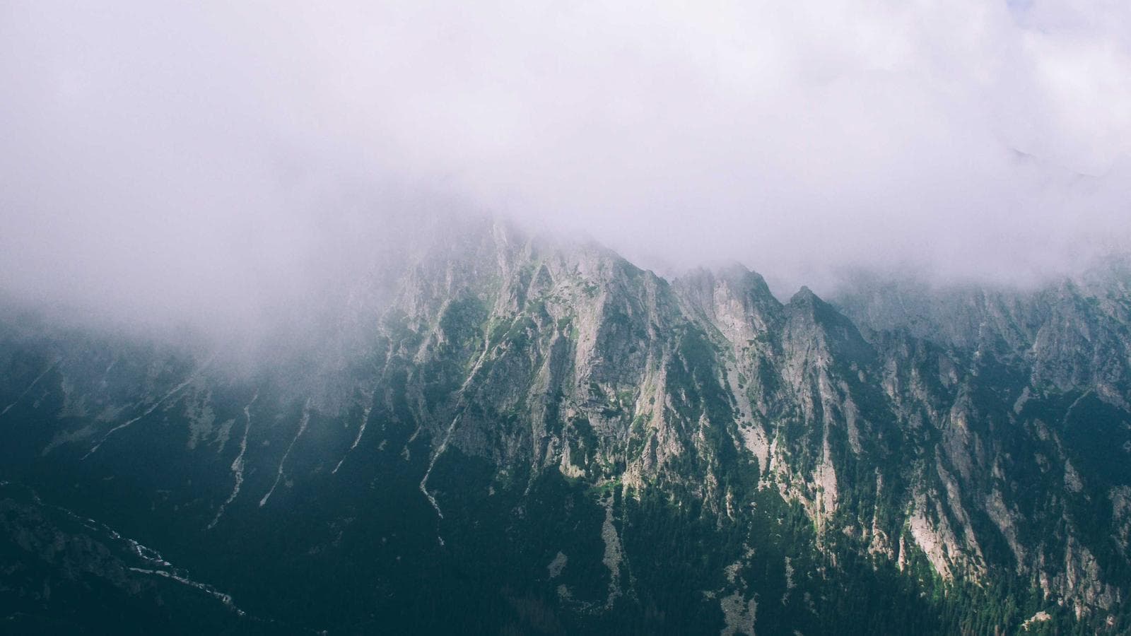 VDE — The Vanguard ETF That Turned $10,000 Into $28,325 in Five Years