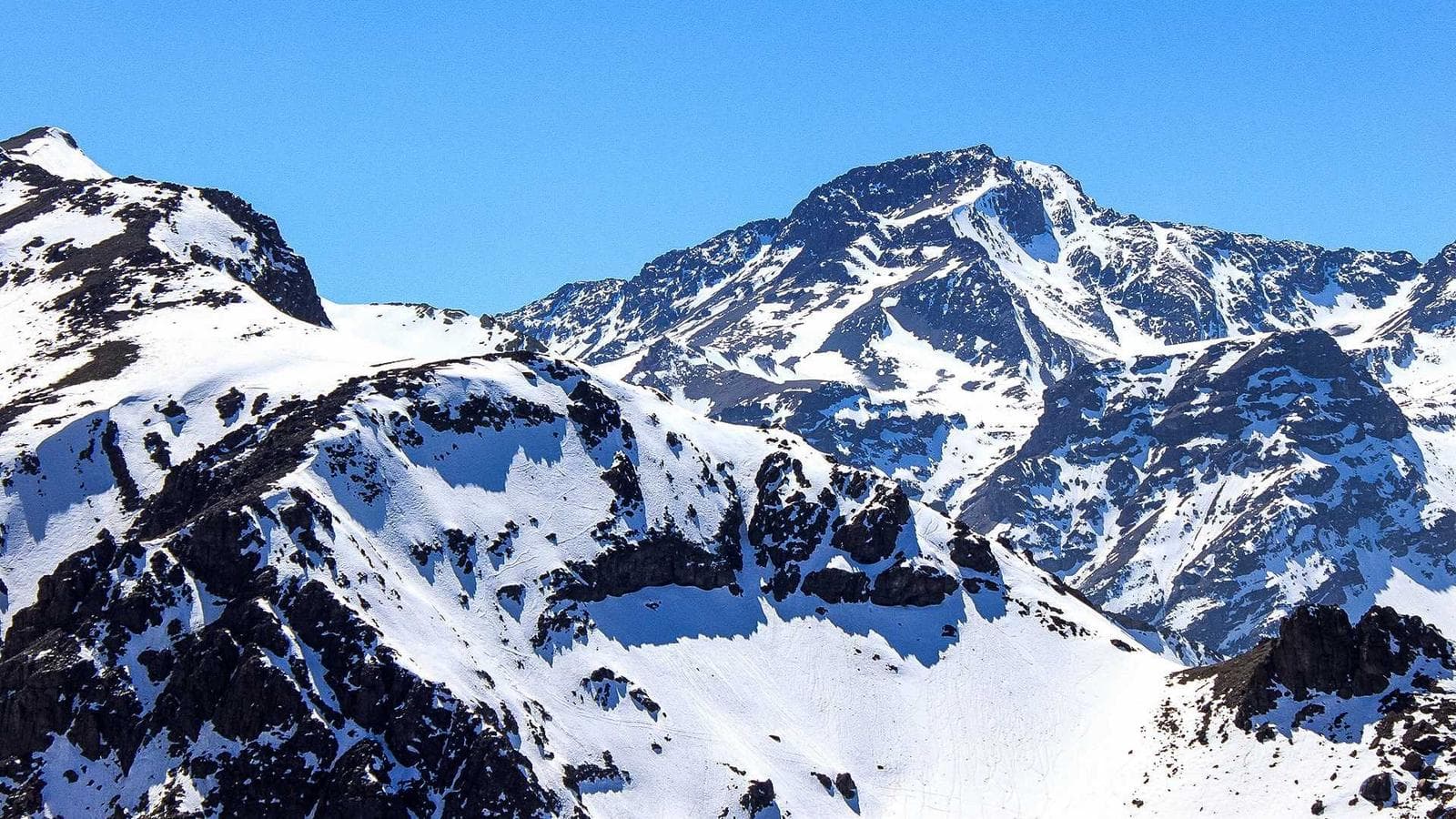 Two Moats in Enterprise AI Software — Palantir vs. Alphabet