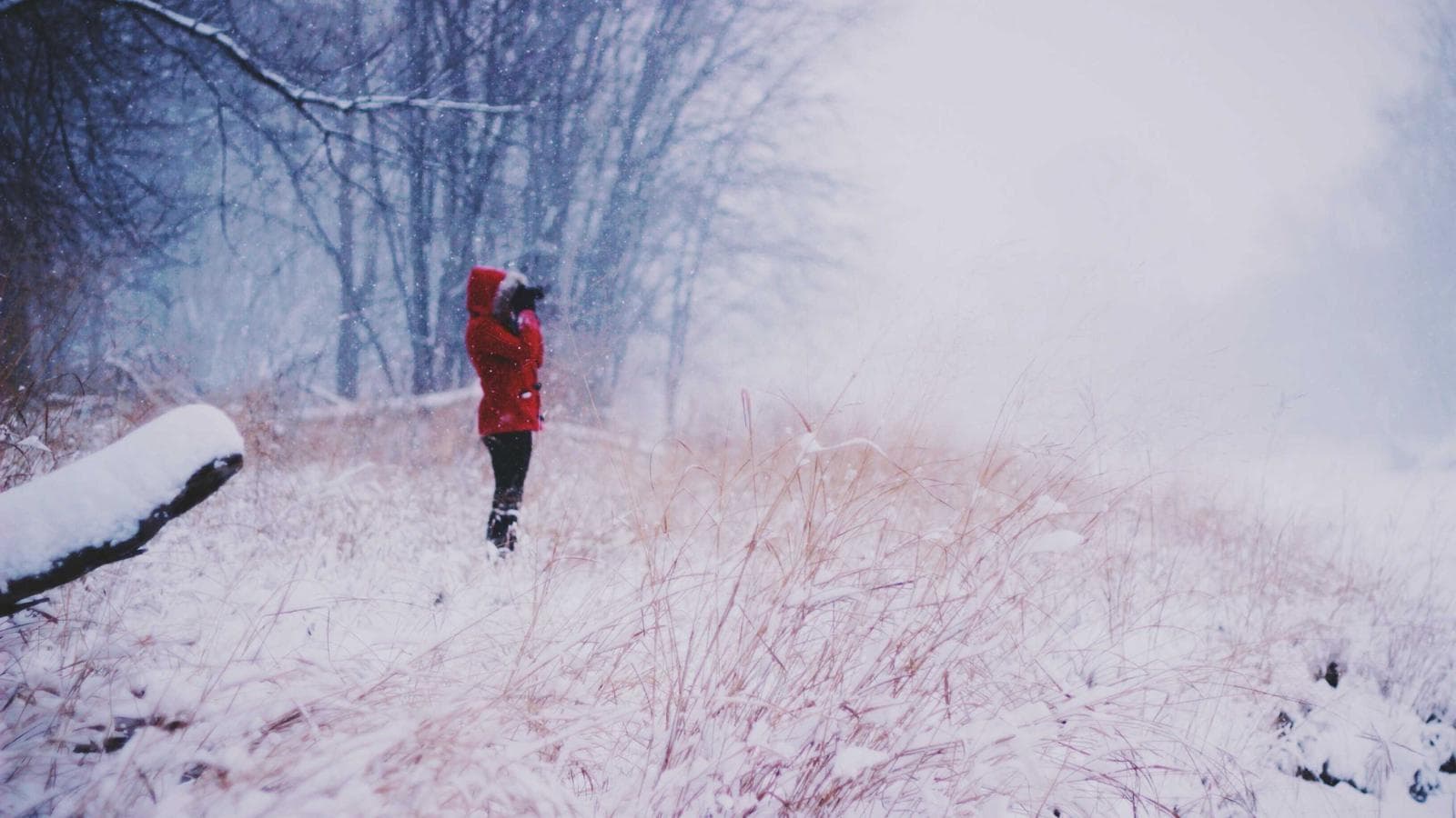 ServiceNow, 고점 대비 40% 하락 — 지금이 매수 타이밍인가