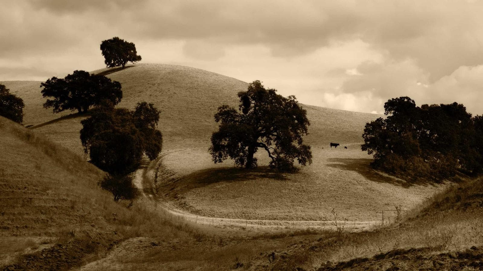 The Complete ETF Guide — 3 Filters to Check Before Buying Any Fund