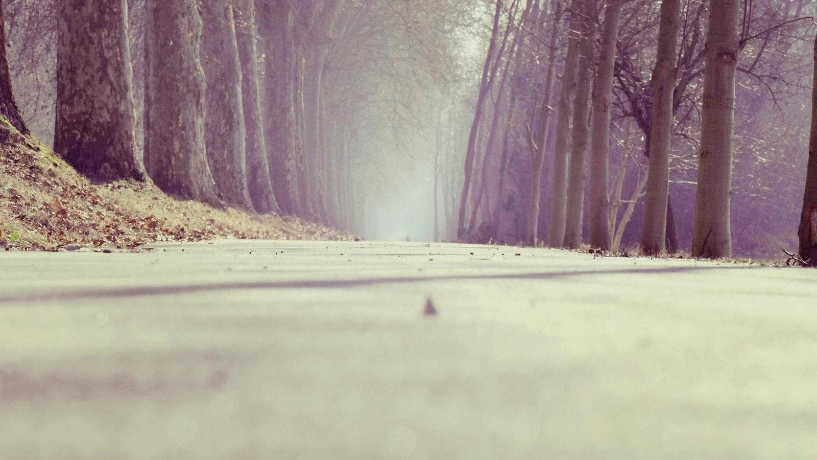 시가 꽁초 투자와 매직 포뮬러는 왜 실패하는가? 기계적 투자 전략의 종말