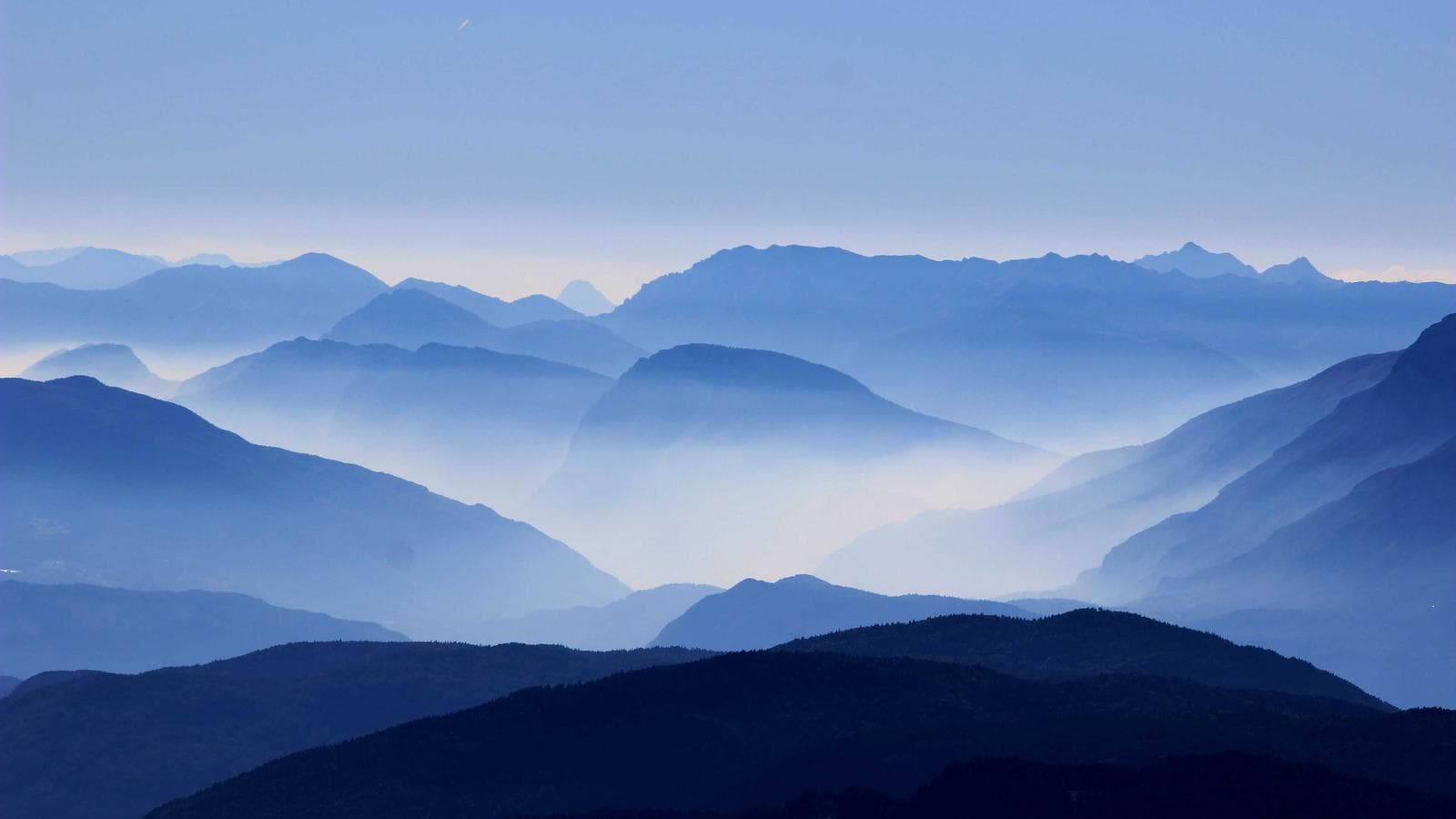 市場は「安全シグナル」を待たない — 霧の中で動き始めるマネーの論理