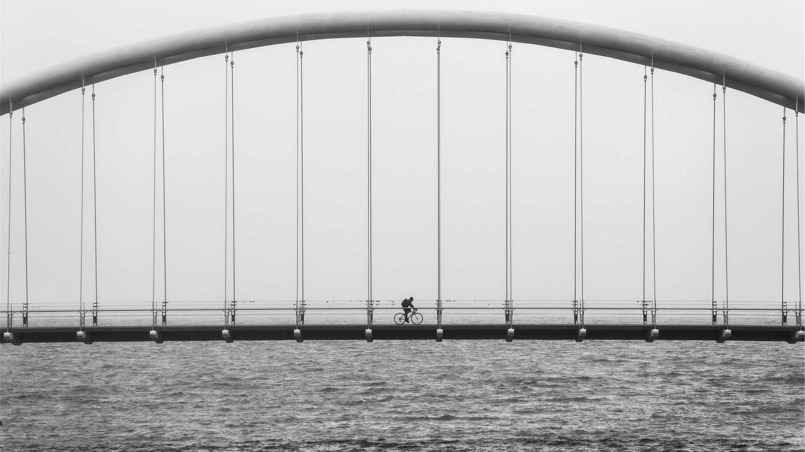 Anatomy of a Geopolitical Bear Trap — Price Was Already Talking Before the News