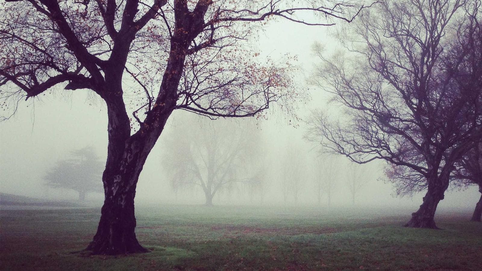 金価格を同時に押し下げる3つの力 — それでも長期見通しが変わらない理由