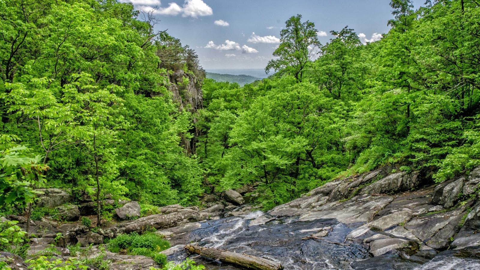 Why Is Gold Falling During a Geopolitical Crisis? Three Forces Pulling It Down