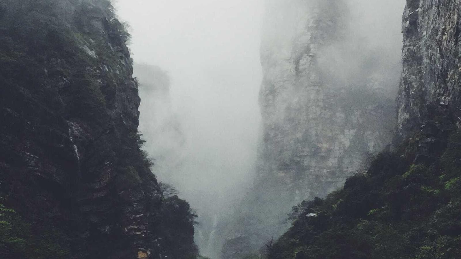 금이 30년 만에 미국 국채를 추월했다: 중앙은행이 보내는 시그널과 은의 공급 위기