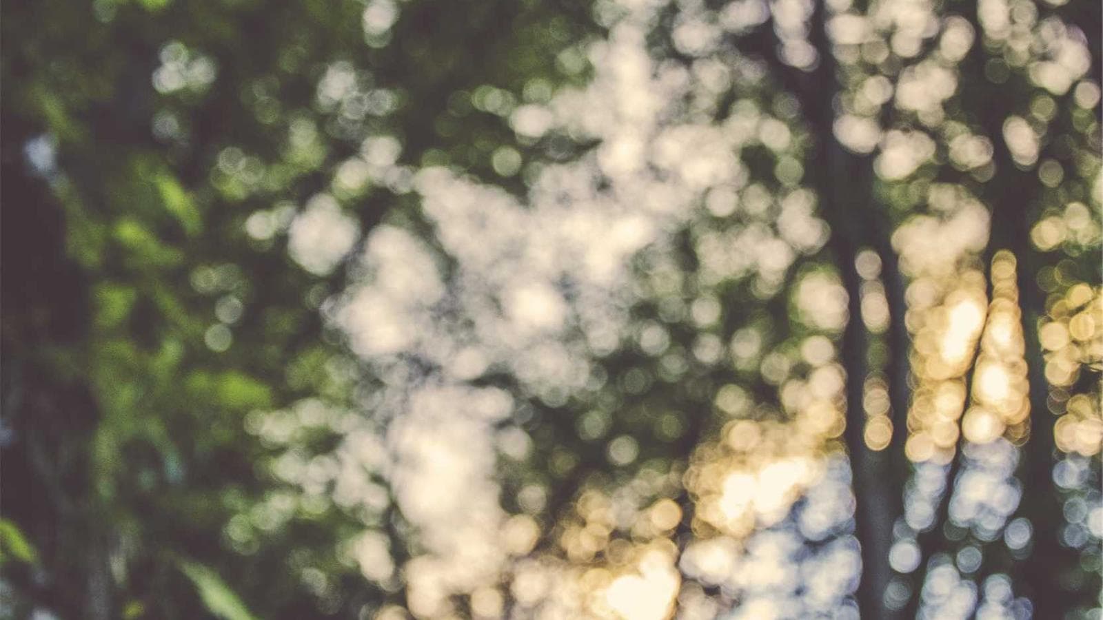 2026년 금 신호가 모두 켜졌다 — $40조 부채, Genius Act, 1,000톤 매수의 의미