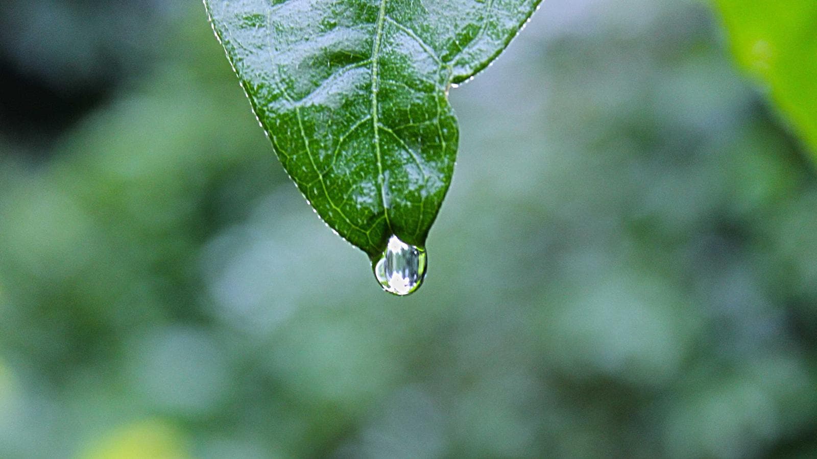 금 급락에 캐시 시큐어드 풋으로 대응하는 법