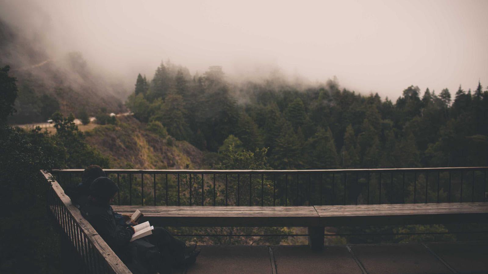 金に対して「中立」が正解である理由 — 確証バイアスを除去する方法