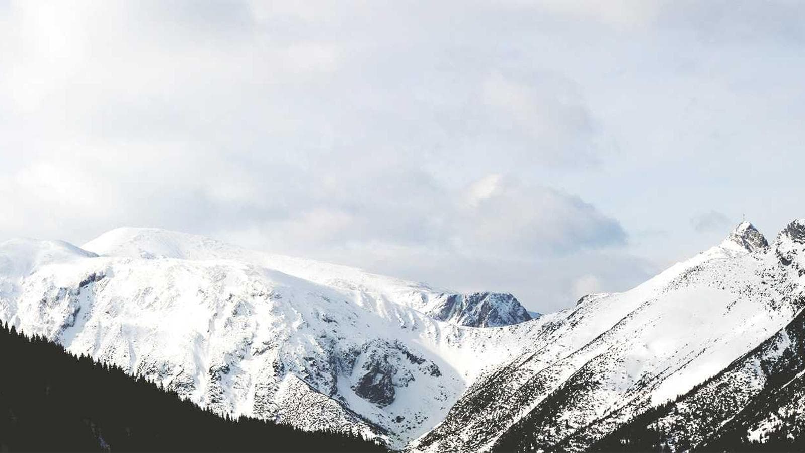 The NVIDIA Valuation Debate — Worth $71 or $444?