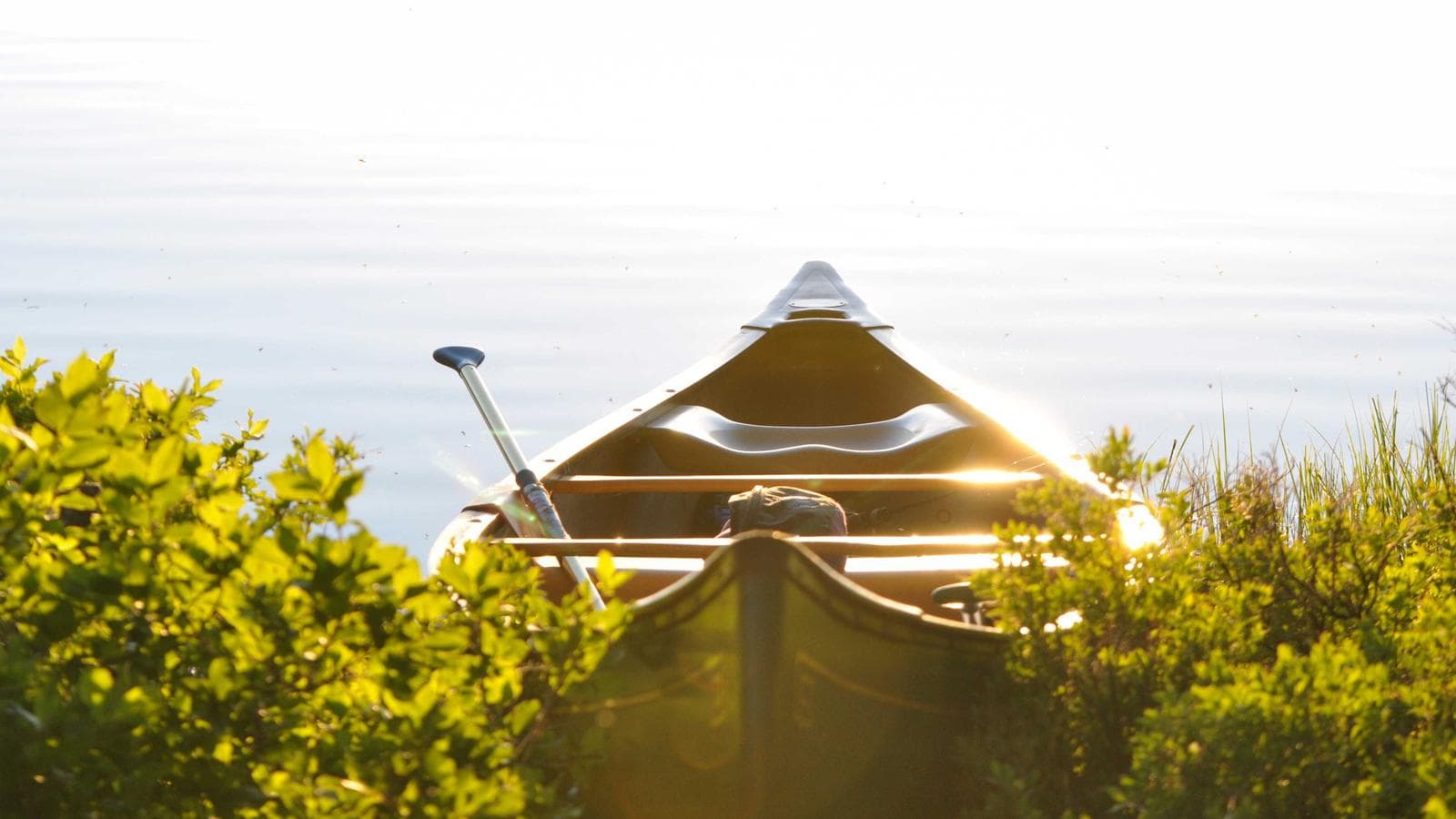 Aggressive Growth vs Starter Portfolio — How the Same $5,000 Reaches $640,000