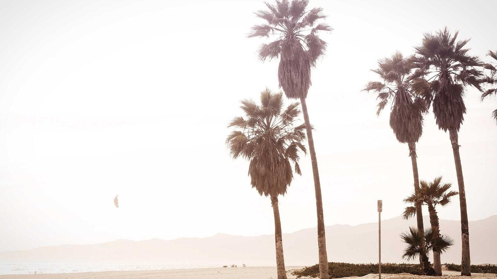 恐怖に振り回されない投資プロセス4つのステップ