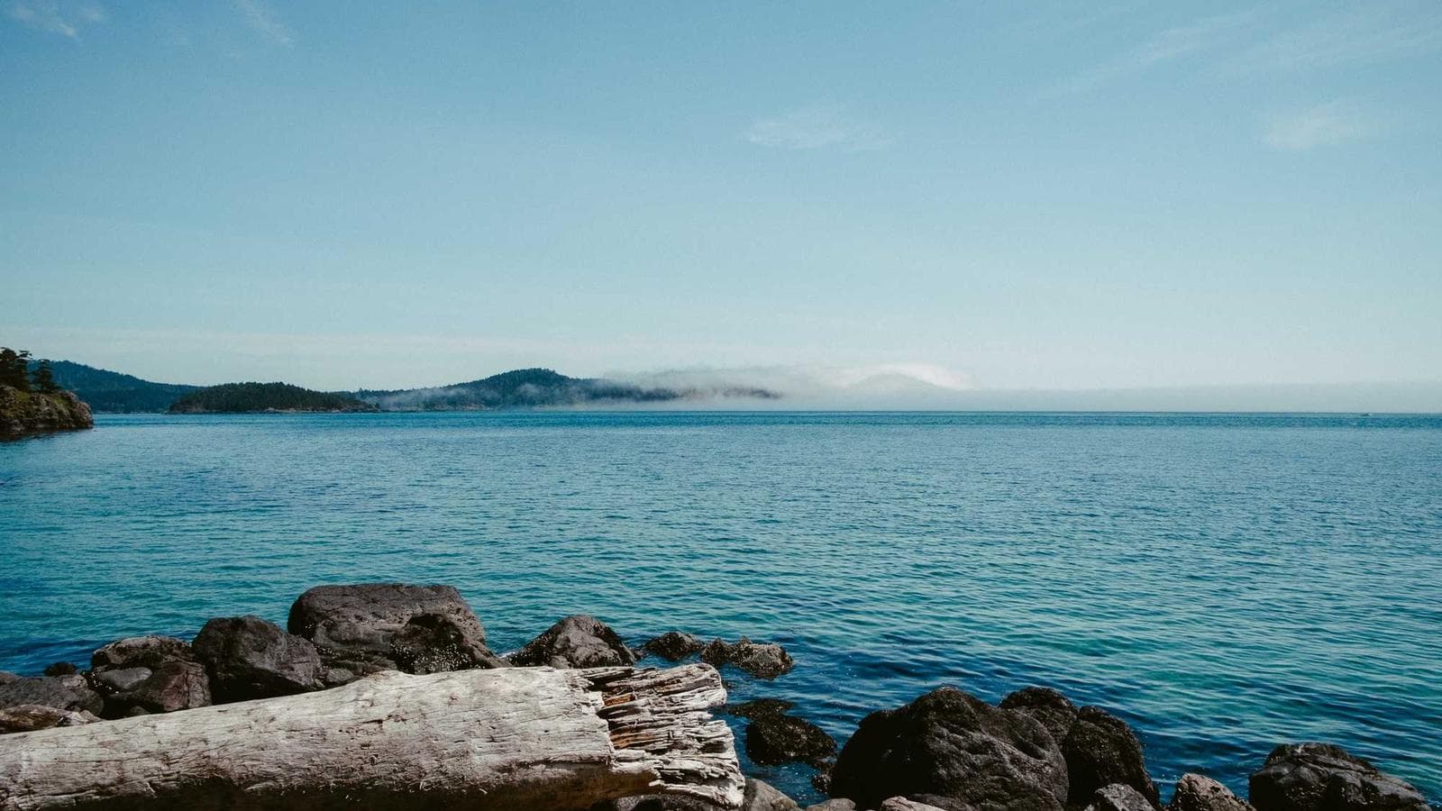 2025년 상반기 투자 전망: 왜 한국보다 미국인가?