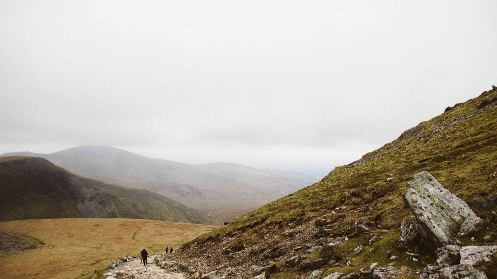 配当投資の不都合な真実：税金の非効率性とパッシブインカムの幻想