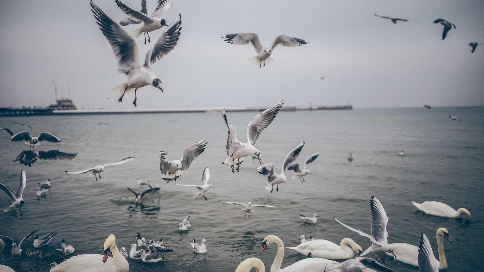 Surviving the Feb/March 2026 Volatility — Steadiness Isn't Guts, It's a System