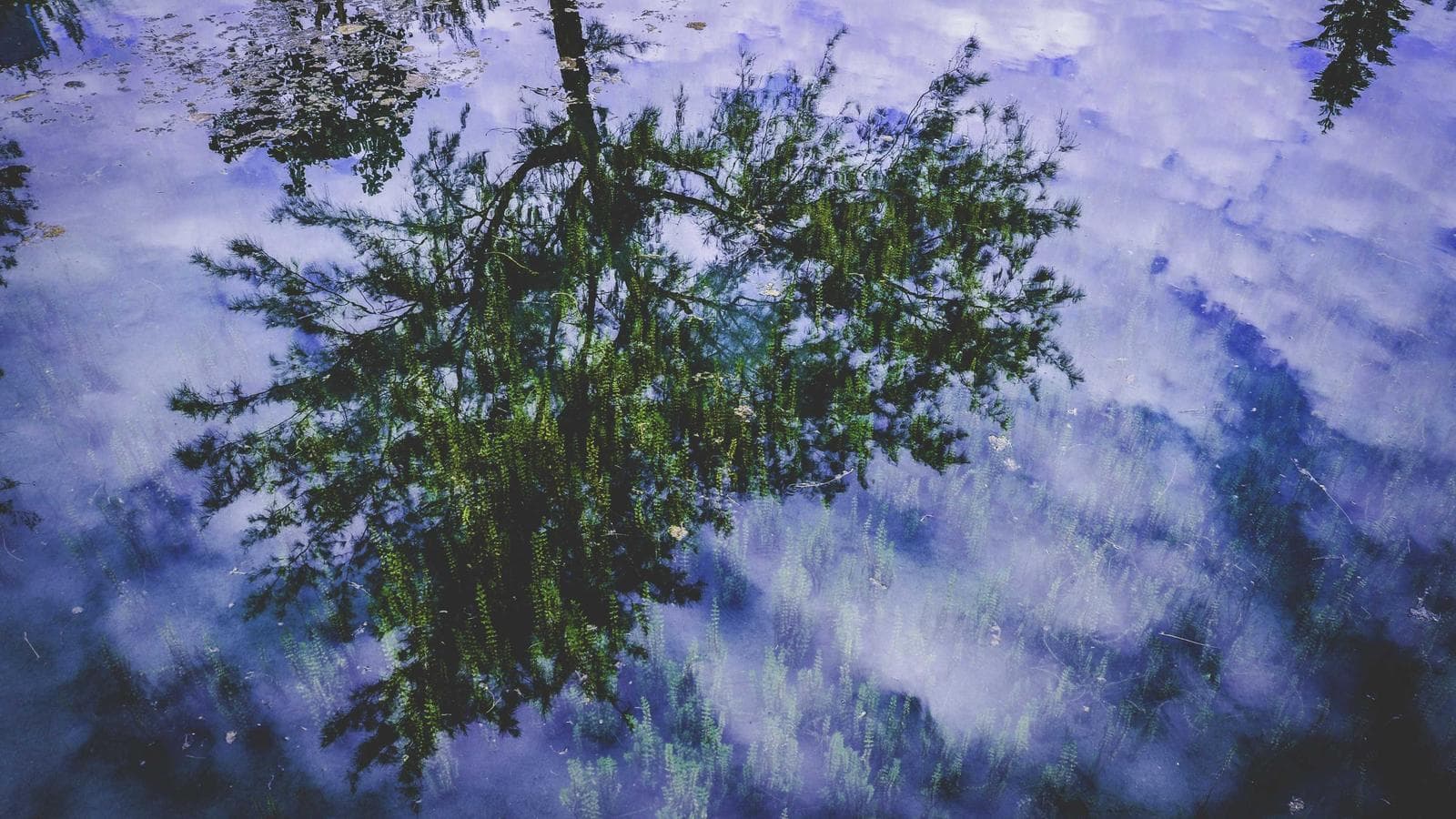 안전마진의 힘 — 사우스웨스트 항공으로 배우는 가치평가 실전