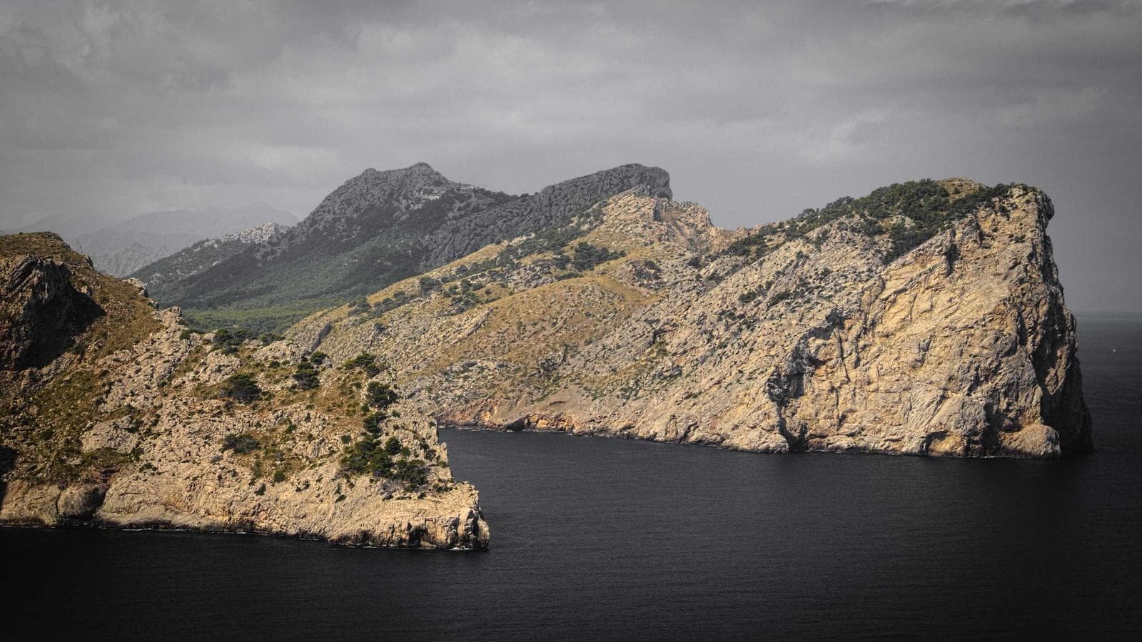 When Everyone Is Buying Calls — What 92 Observations Say About a 5-Day Rally