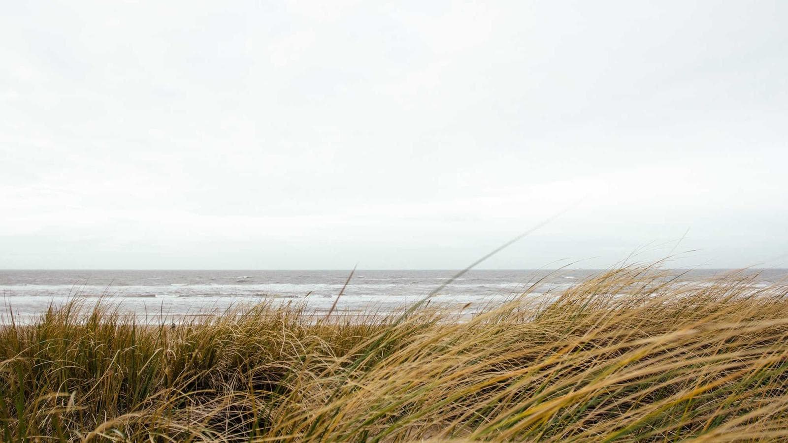 ナスダックカバードコールETF市場状況別選択ガイド - いつどのETFを選ぶべきか