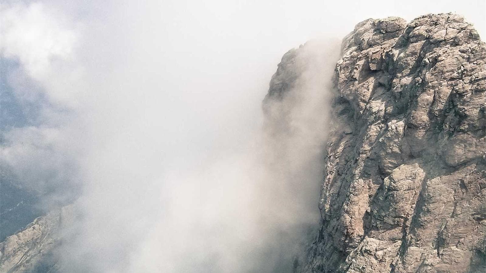 How to Handle Market Volatility: Understanding the Fear and Greed Cycle