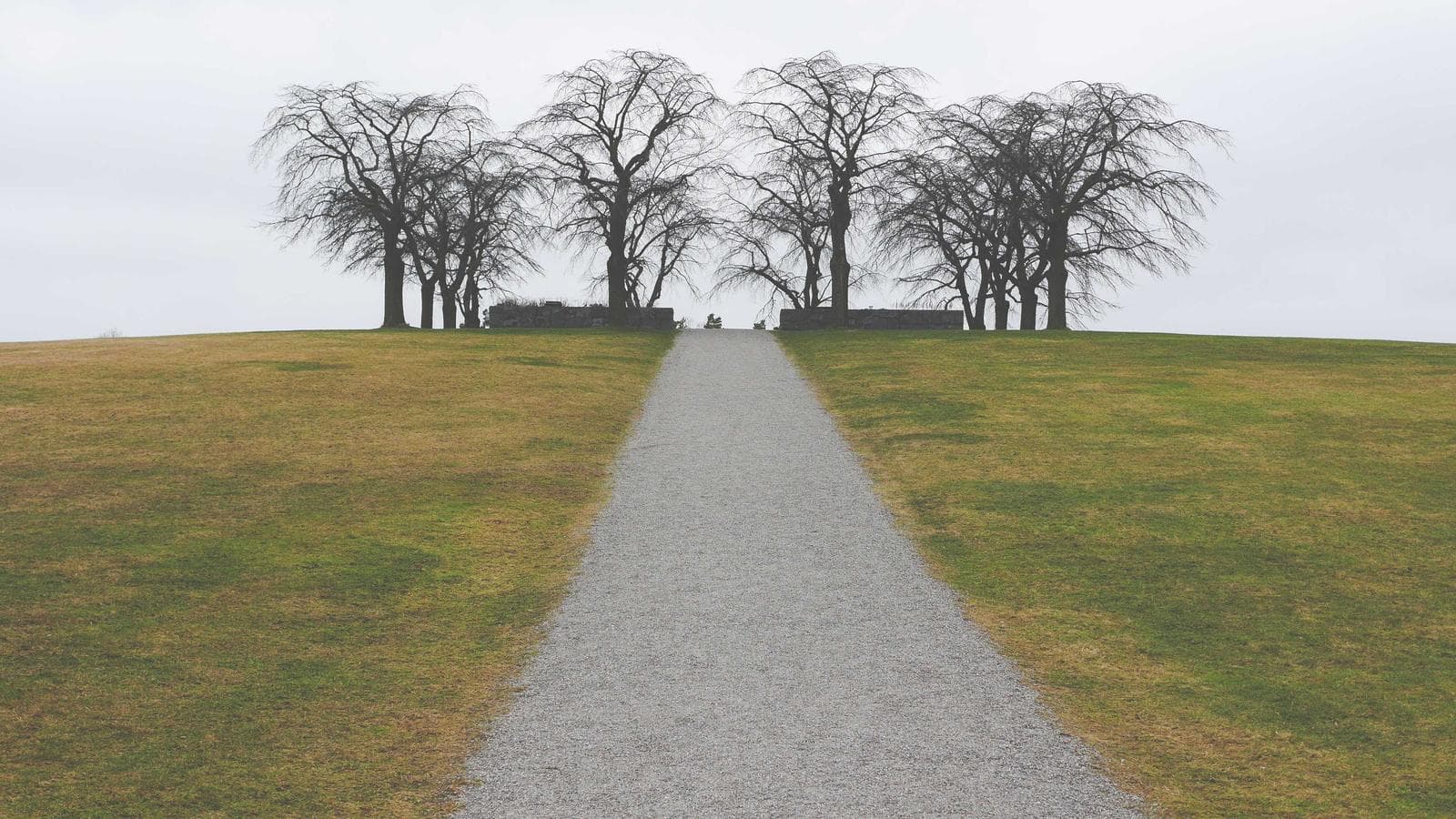결혼이 인생 최대의 재무적 결정인 이유: 인지 대역폭이라는 보이지 않는 세금