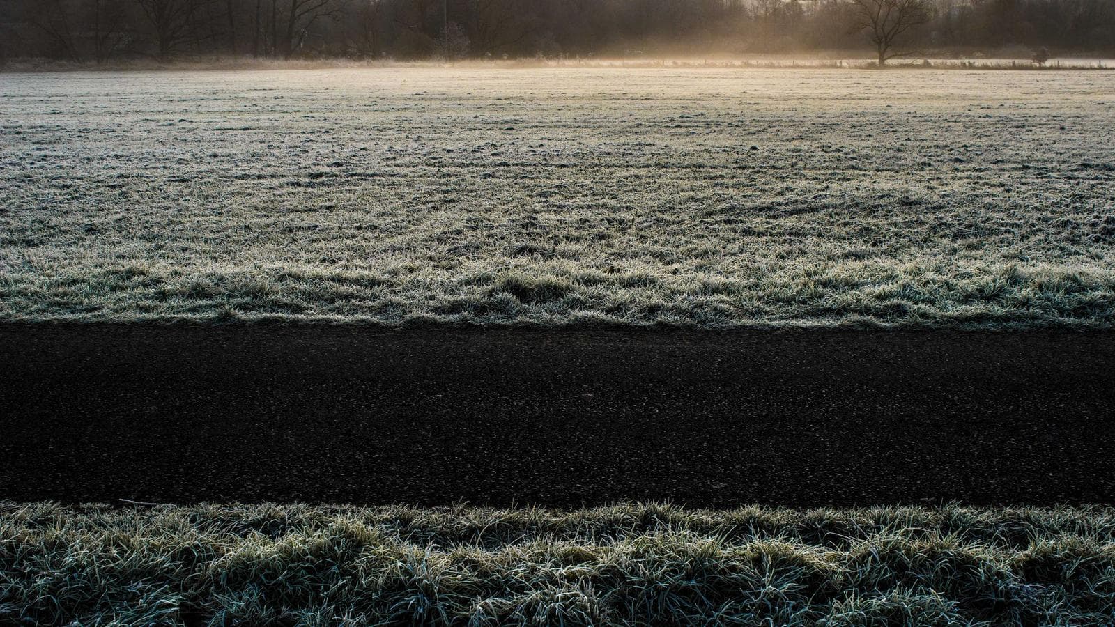 有料トレーディング講座を買う前に — メンターを検証する2つの質問