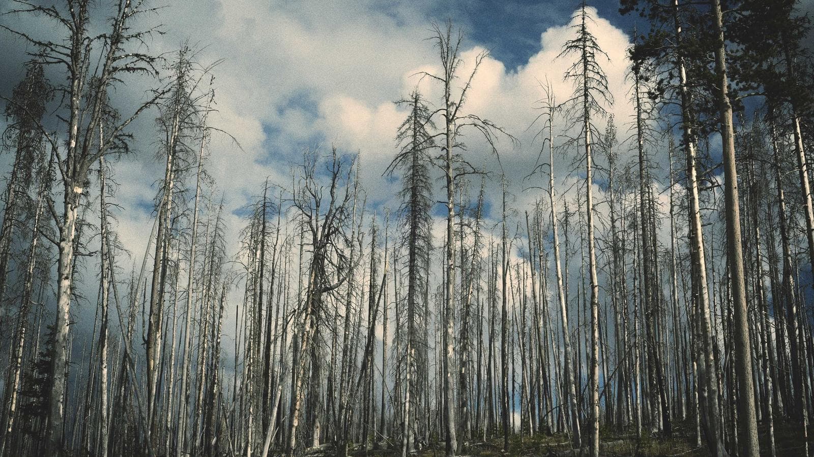 메타 주가, 반등 후에도 들어갈 자리가 남아 있는가