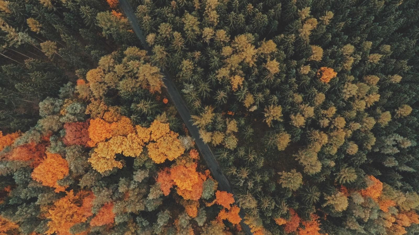 マイクロソフト400ドル、今が買い時か？バリュエーション分析で見る適正価格