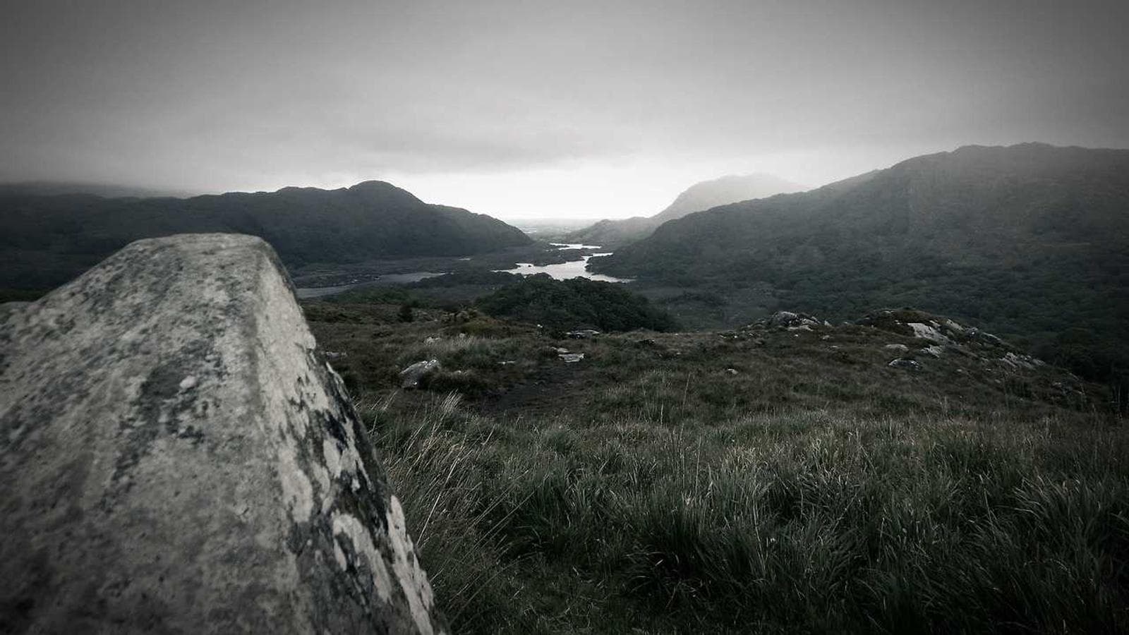 静かなお金持ちの消費習慣：品質、アウトソーシング、ミニマリズム、そして忍耐