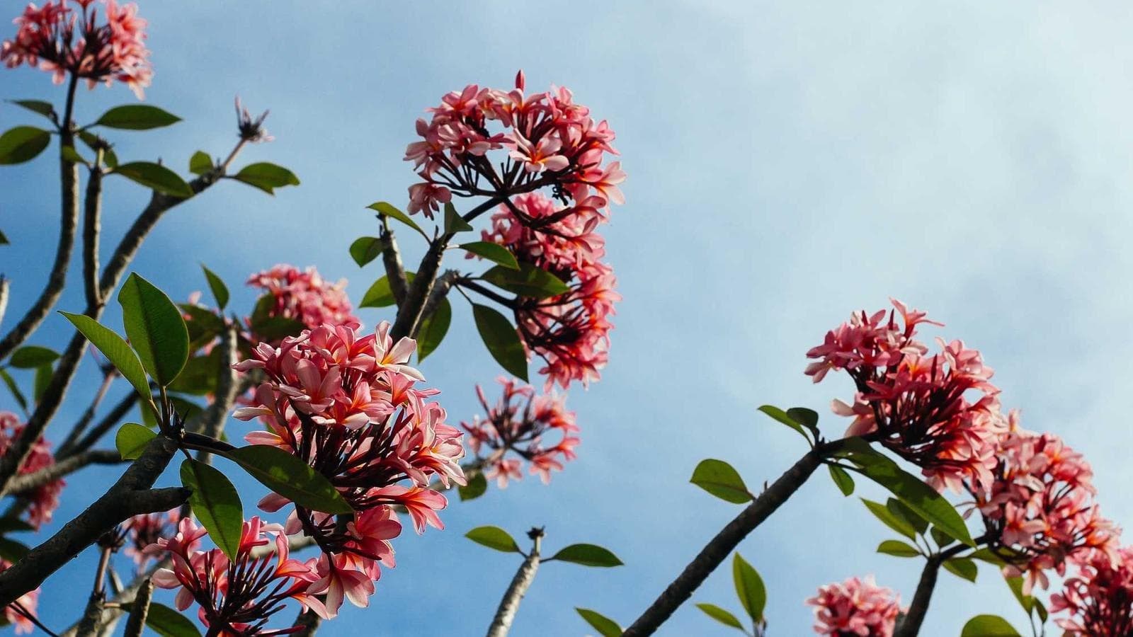 Managing Money with Three Pockets: Mastering Cash Flow for Wealth Building