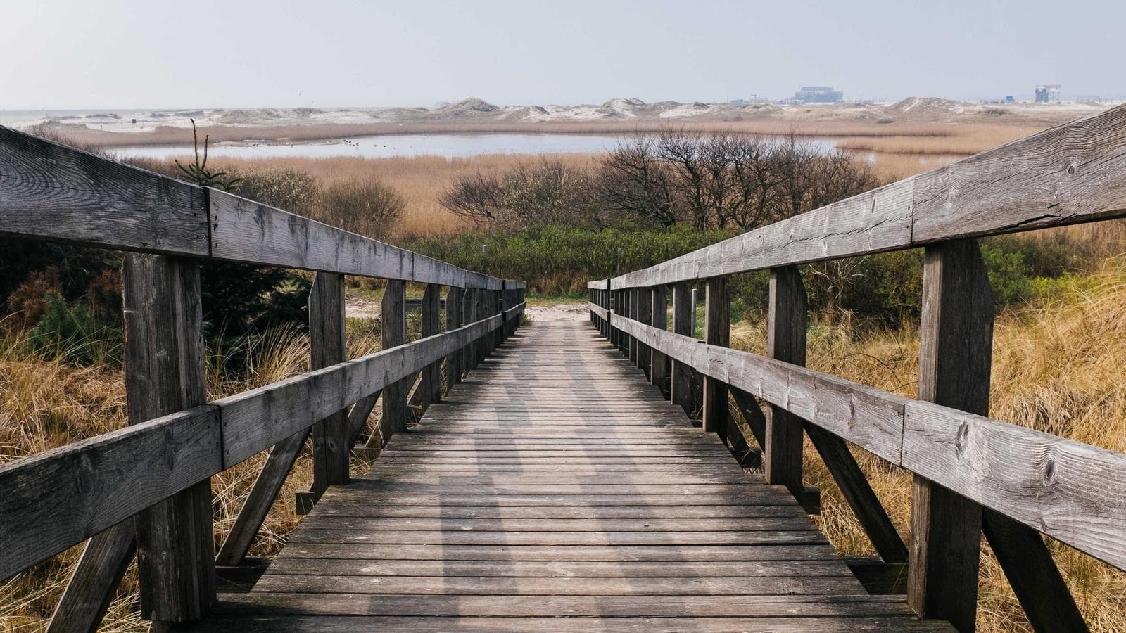 원자력 에너지의 부활: AI가 만든 새로운 투자 기회